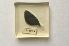 Feather preservation method - covering with tape on paper back (2018)